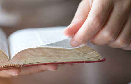 bible-page-turner-1200x1200.png
