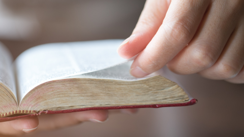 bible-page-turner-1200x1200.png